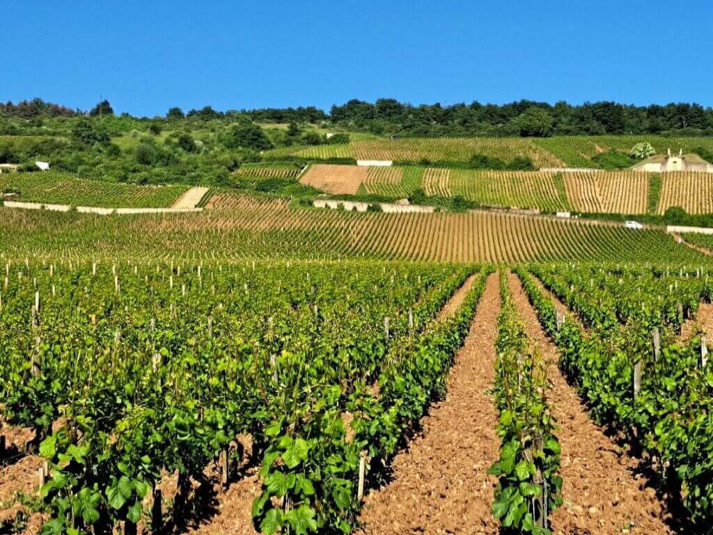 Domaine Armelle et Bernard Rion