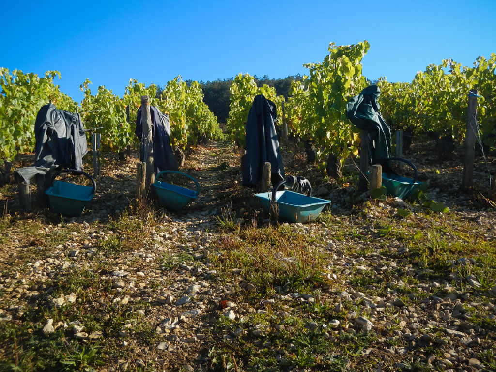 Domaine Edouard Vocoret