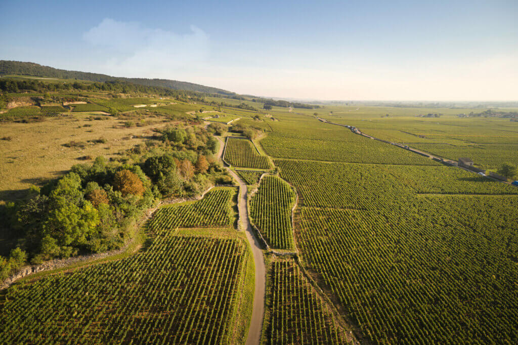 Domaine Guy Amiot et Fils