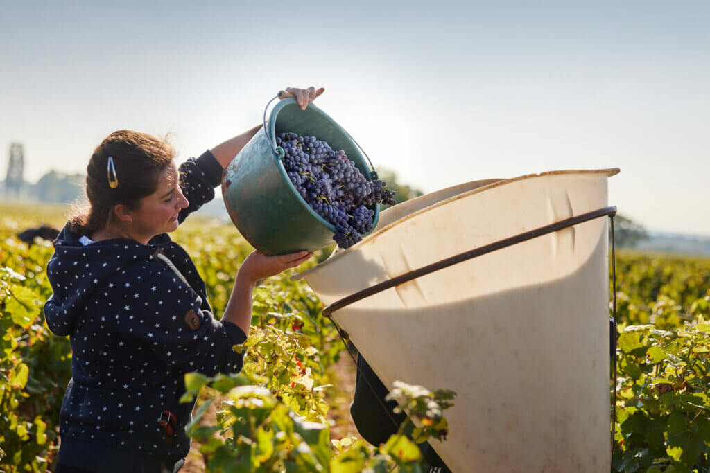Domaine Guy Amiot et Fils