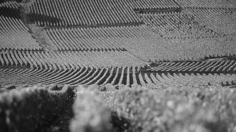 Domaine Jean-Marc Millot