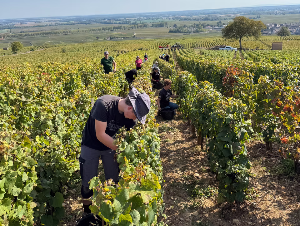 Domaine Michel Arcelain