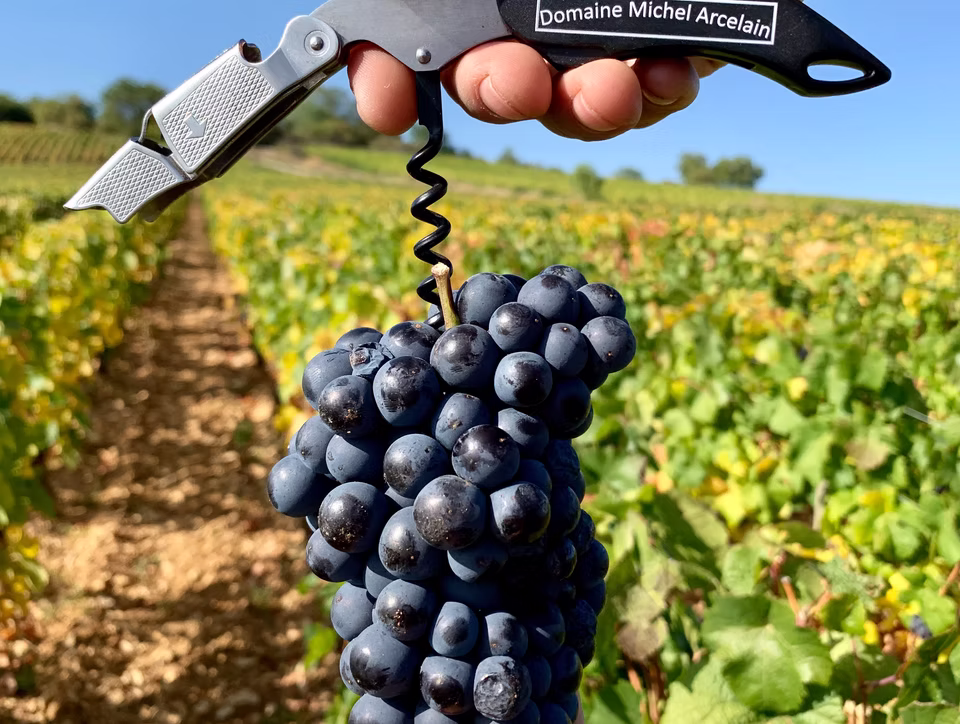 Domaine Michel Arcelain
