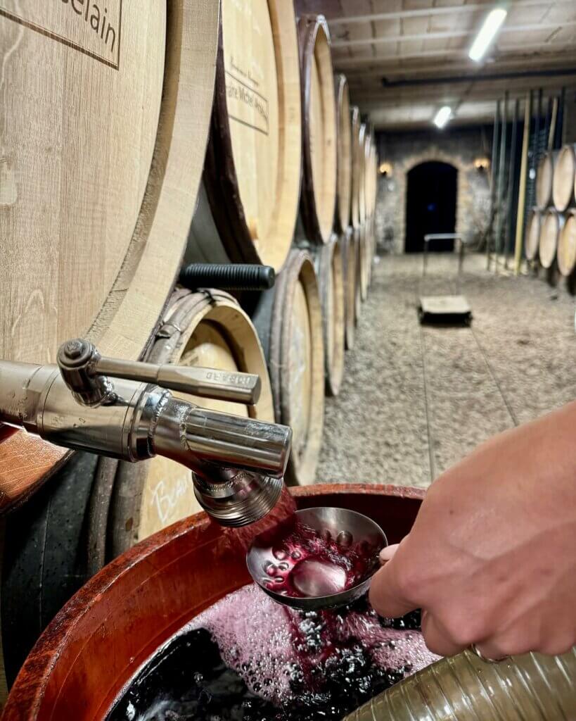 Domaine Michel Arcelain