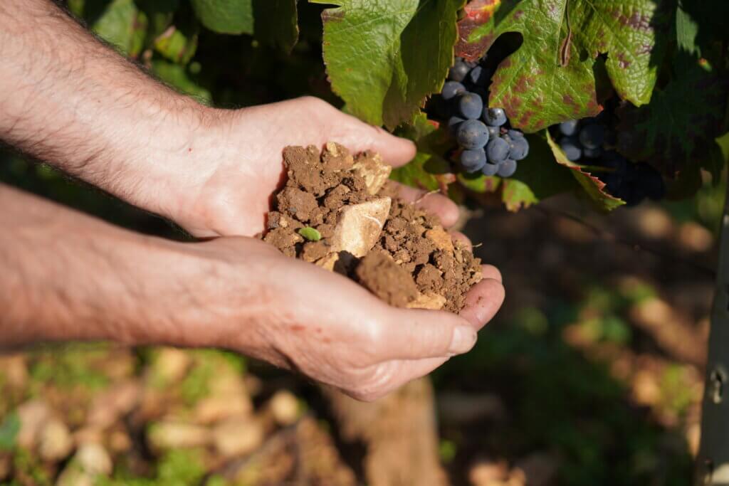Domaine Rebourgeon-Mure