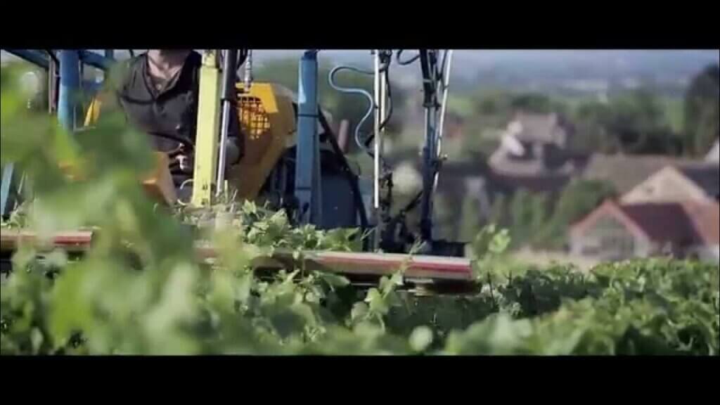 Domaine Rebourgeon-Mure