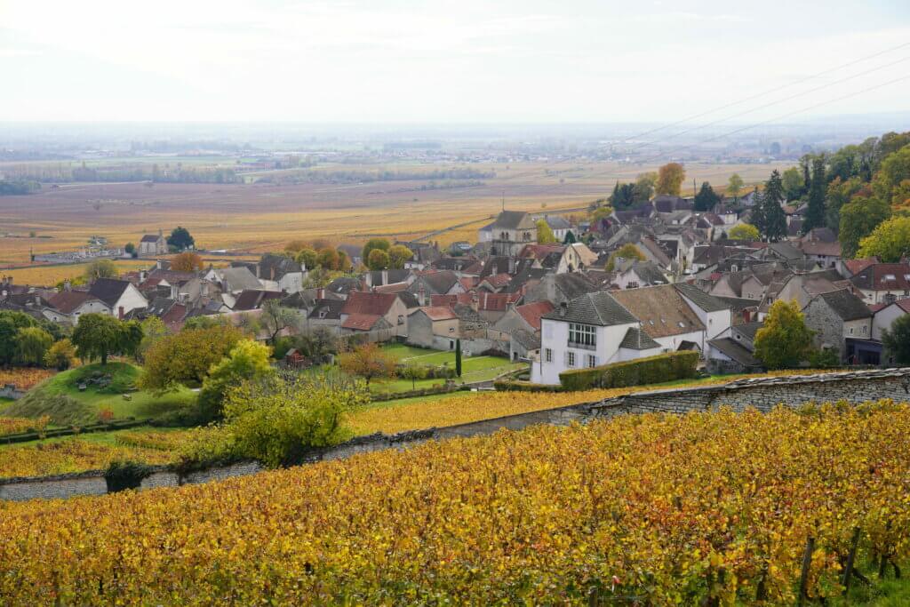Domaine Rebourgeon-Mure