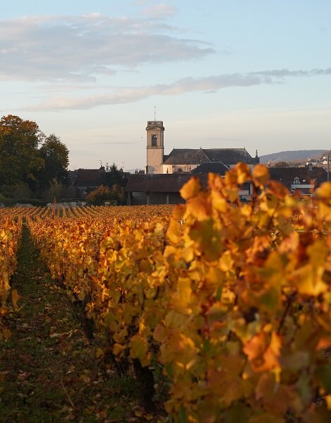 Domaine Rebourgeon-Mure